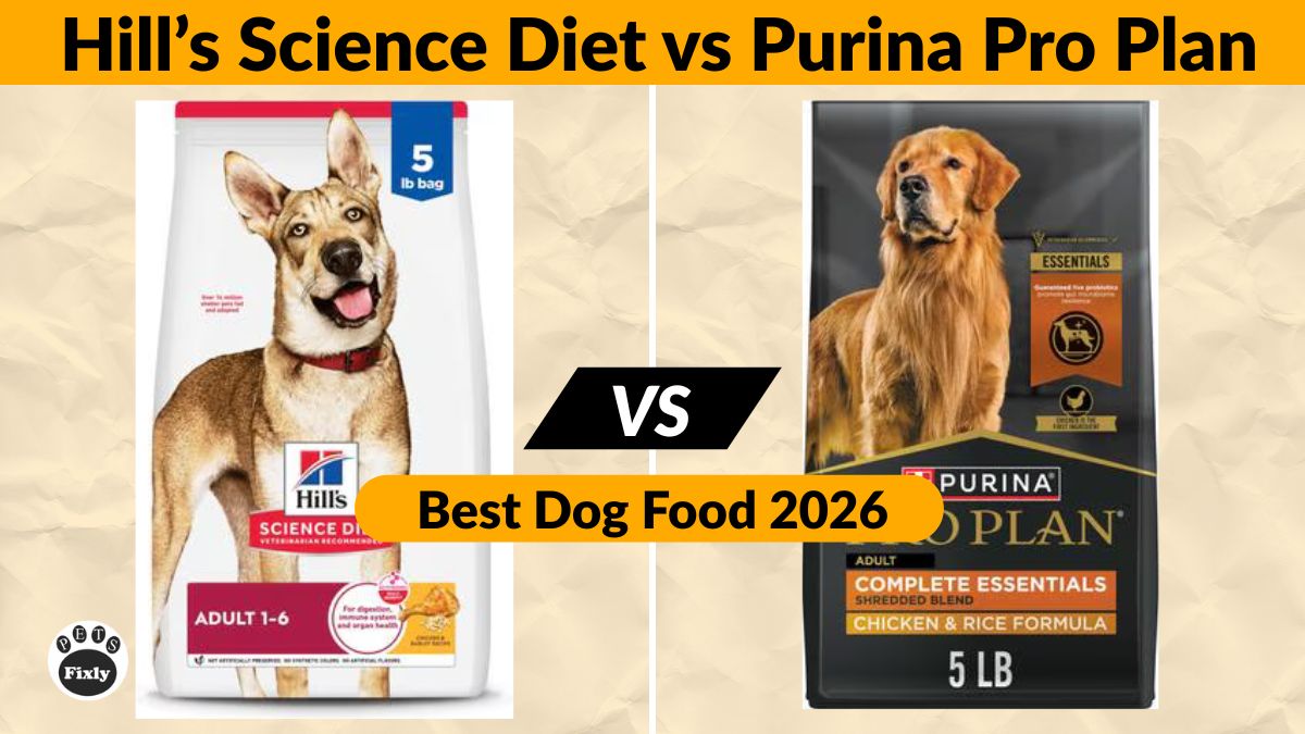 Hill’s Science Diet vs Purina Pro Plan