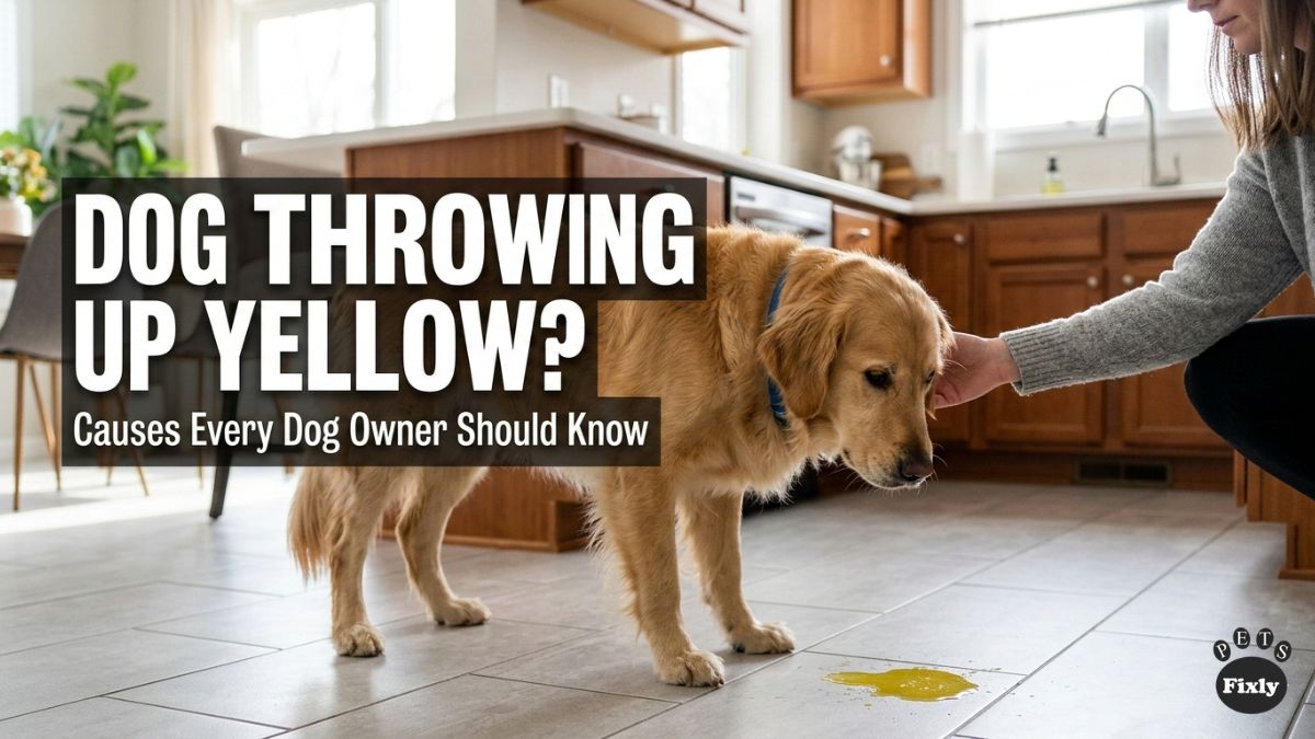 Why Is My Dog Throwing Up Yellow? Causes, Fixes & When to Worry